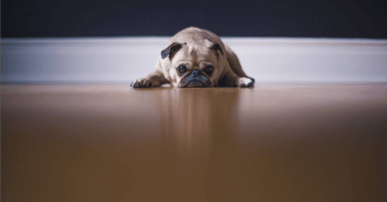 How to Get Motivated | 8 Brilliant Hacks to Slay the Day When You’re Just Not Feeling It
