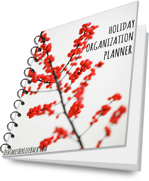 Holiday Organization Planner | Free Workbook Download
