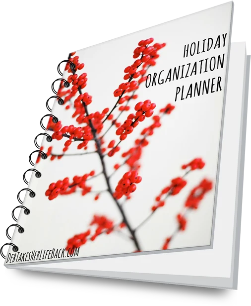 Holiday Organization Planner | Free Workbook Download