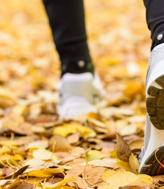 Walk Daily to Drastically Improve Your Health | 18 Science-Backed Reasons It Works