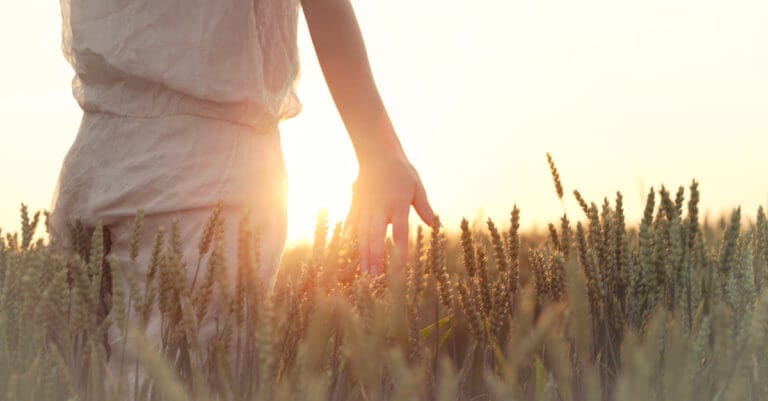 Finding Peace in God | 4 Ways to Experience Peace in Spite of Circumstances
