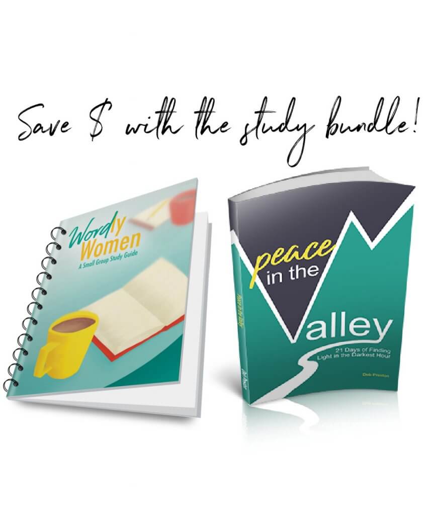 Study Bundle - "Peace in the Valley | 21 Days of Finding Light in the Darkest Hour" and "Word-ly Women | A Small Group Study Guide"