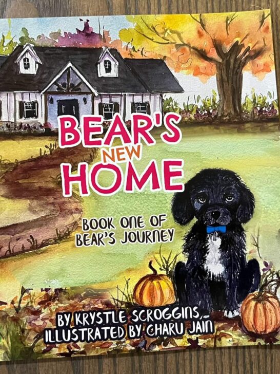 Children’s Book Review | Bear’s New Home: Book One of Bear’s Journey