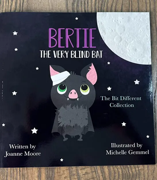 Children’s Book Review | Bertie the Very Blind Bat