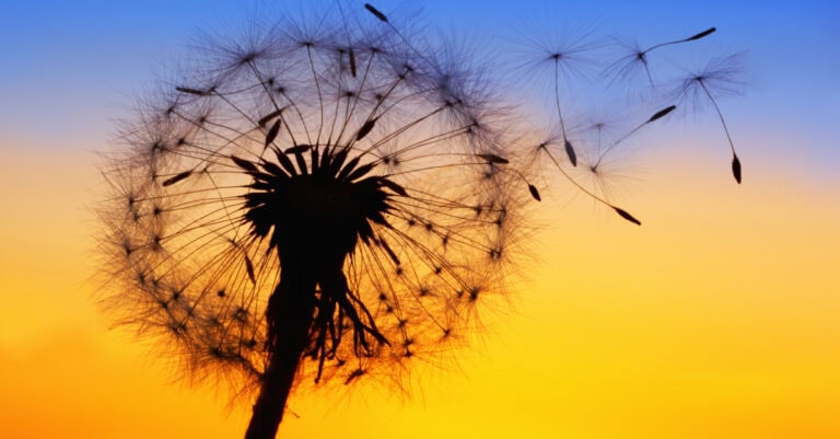How to Let Go of the Past | The Key to Moving On For Good