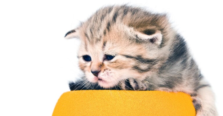 How to Stop Being Antisocial | Painless Ways to Deal