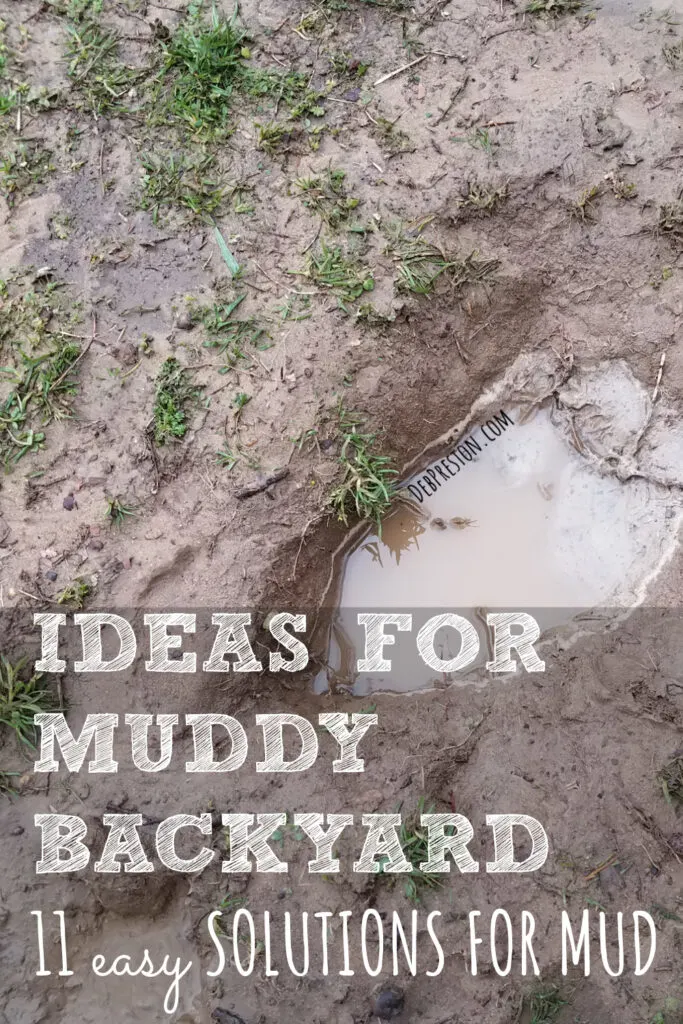 Ideas for Muddy Backyard | 11 Easy Solutions For Mud