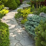 Best Backyard Landscaping Ideas in Texas in 2026