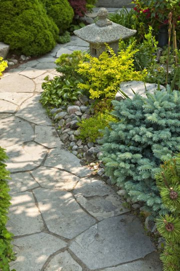 Best Backyard Landscaping Ideas in Texas in 2026