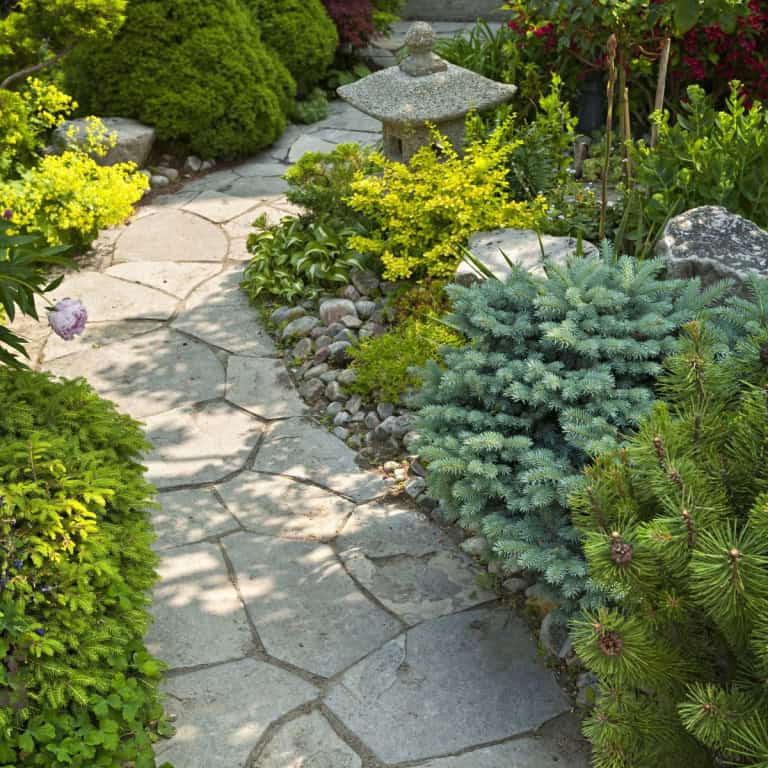 Best Backyard Landscaping Ideas in Texas in 2026