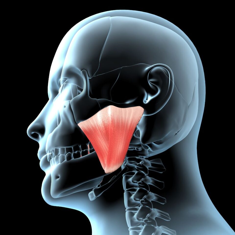 How To Relieve Stress In Jaw: Tips For Quick Relief