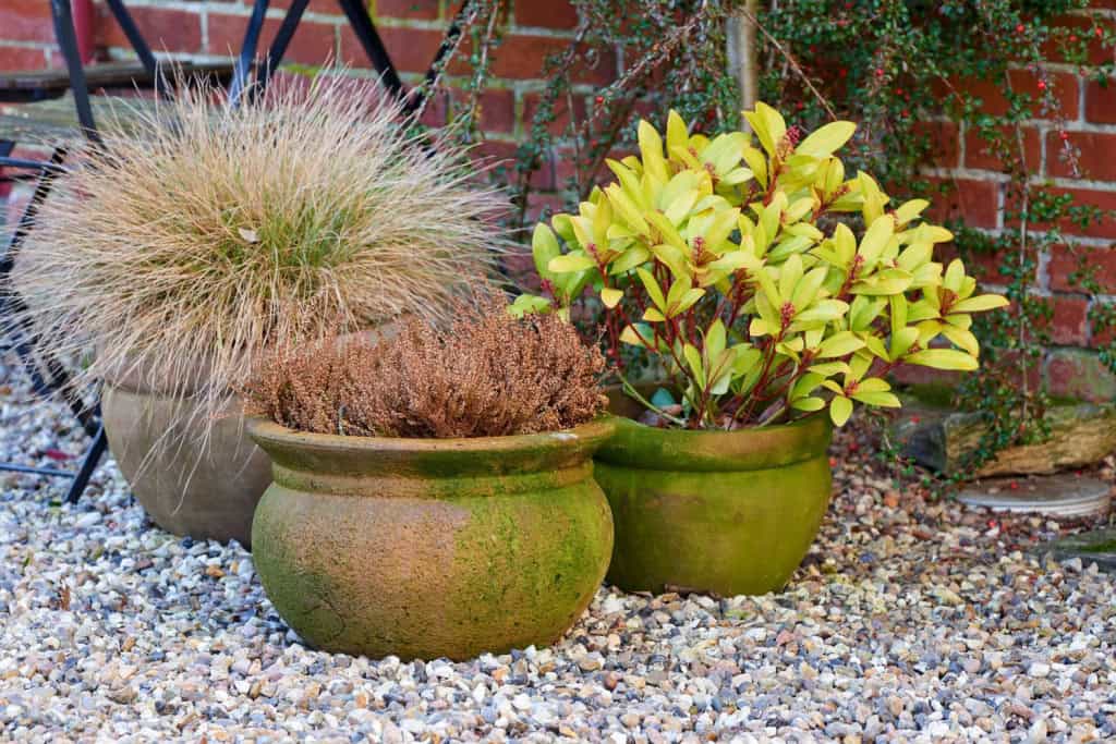 Ideas for Muddy Backyard | Quick DIY, Lasting Results