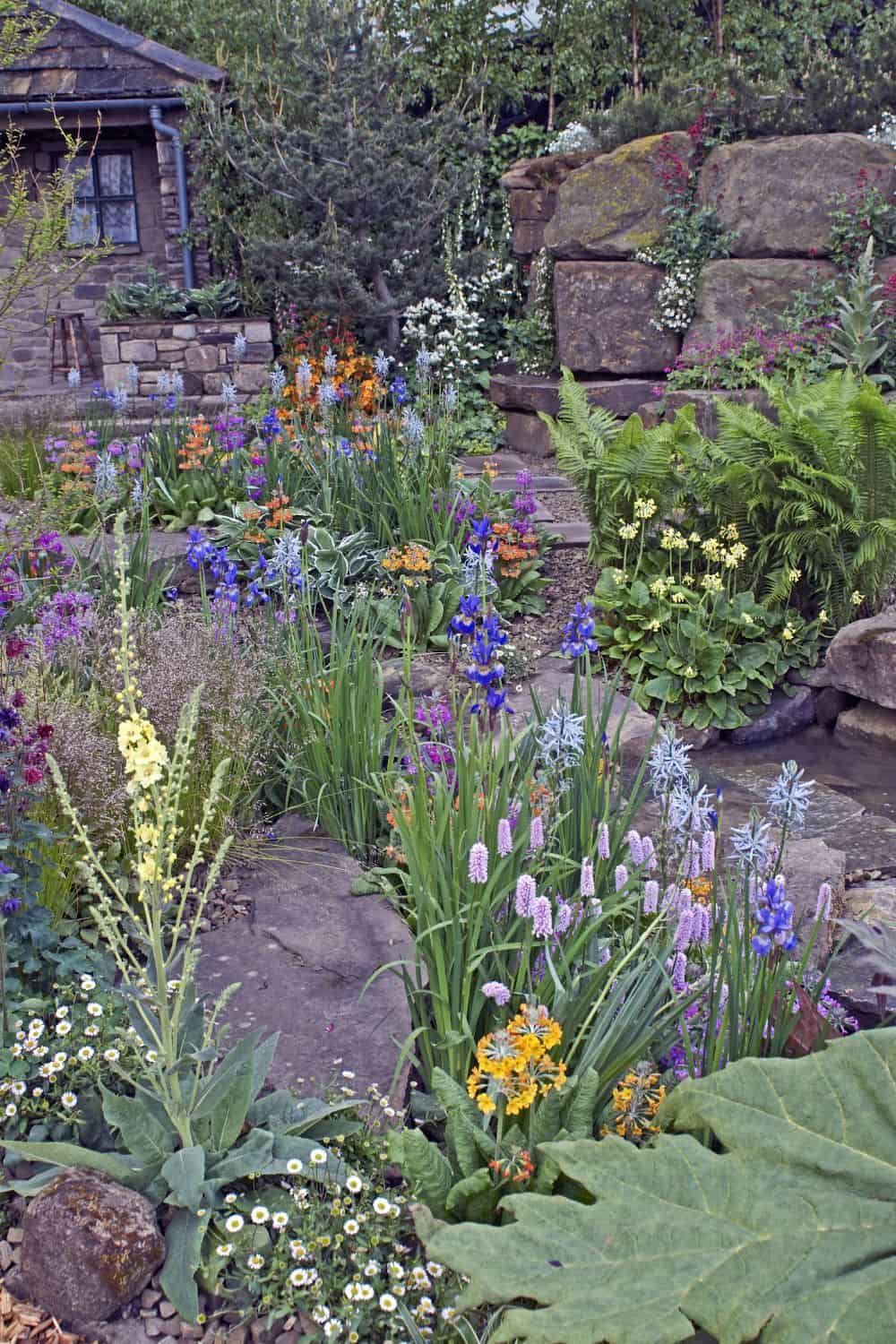 Ideas for Muddy Backyard | Quick DIY, Lasting Results