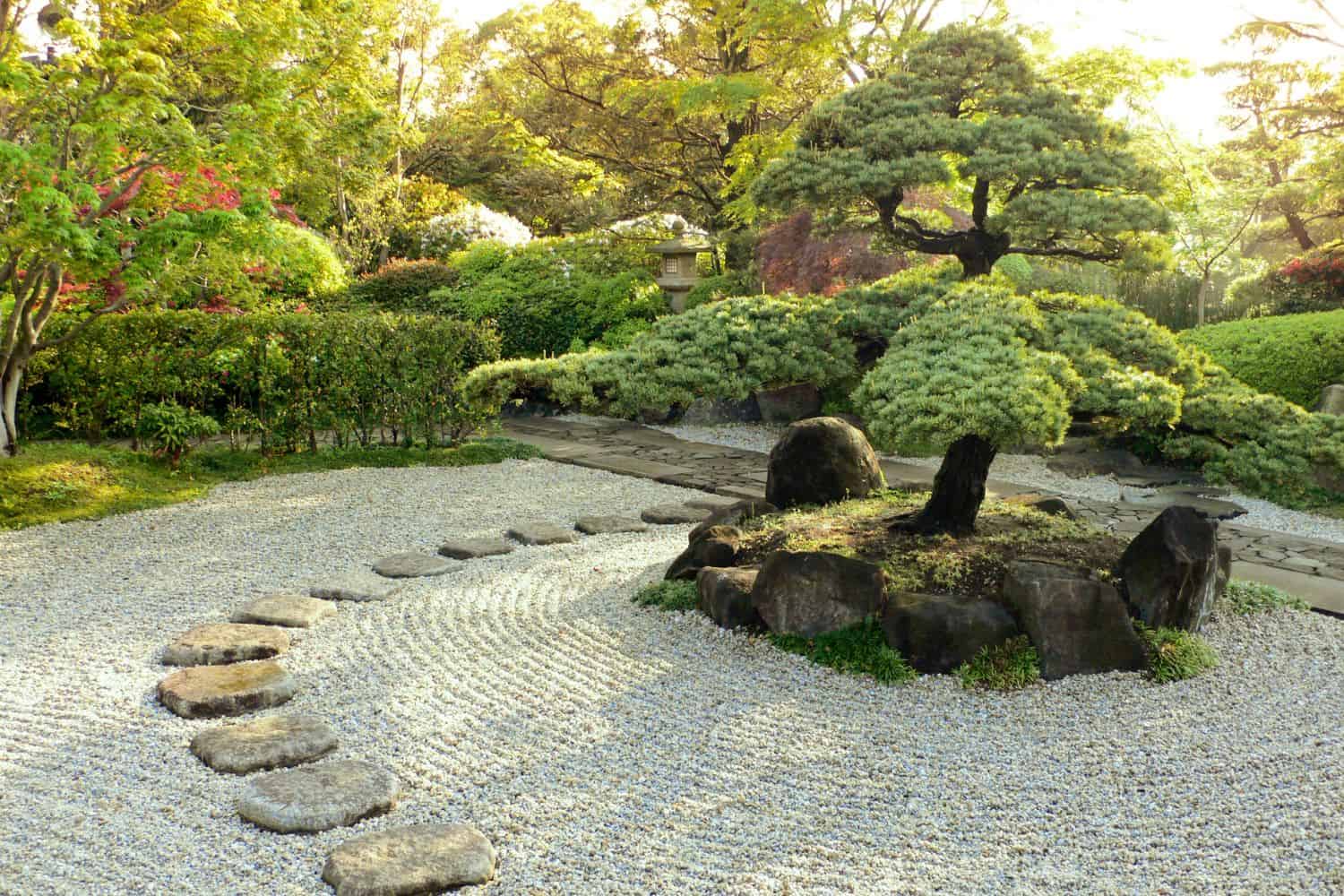 Ideas for Muddy Backyard | Quick DIY, Lasting Results