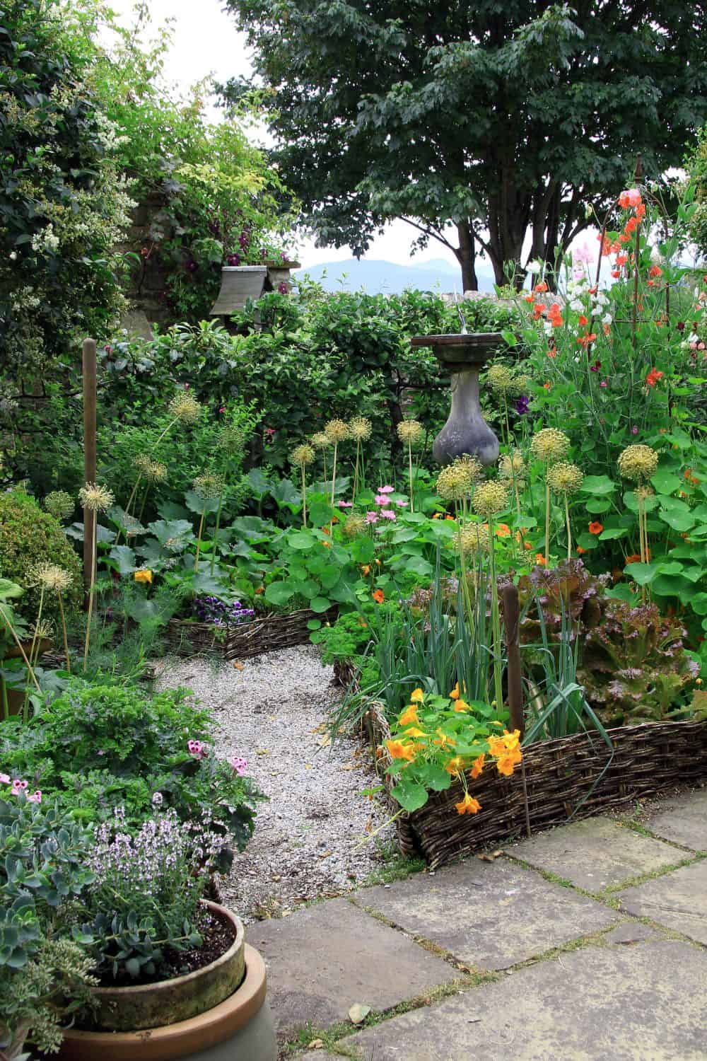 Ideas for Muddy Backyard | Quick DIY, Lasting Results