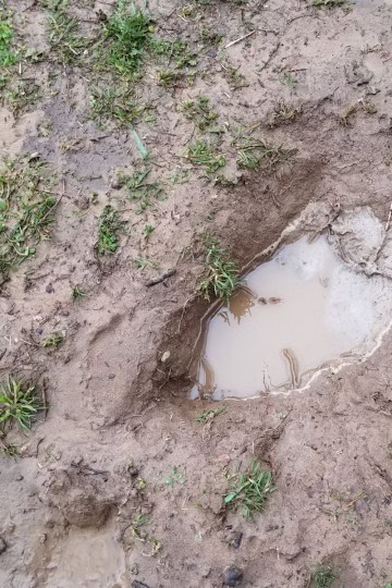 Ideas for Muddy Backyard | Quick DIY, Lasting Results