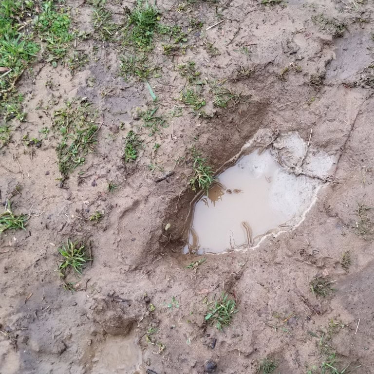 Ideas for Muddy Backyard | Quick DIY, Lasting Results